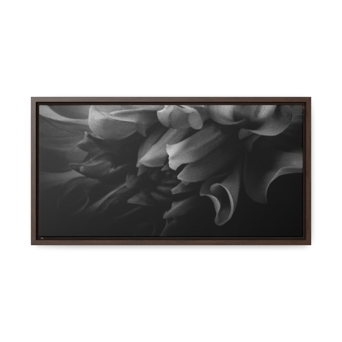 Canvas Dahlia Gallery Canvas Wraps, Horizontal Frame 20″ x 10″ / Walnut / Premium Gallery Wraps (1.25″)