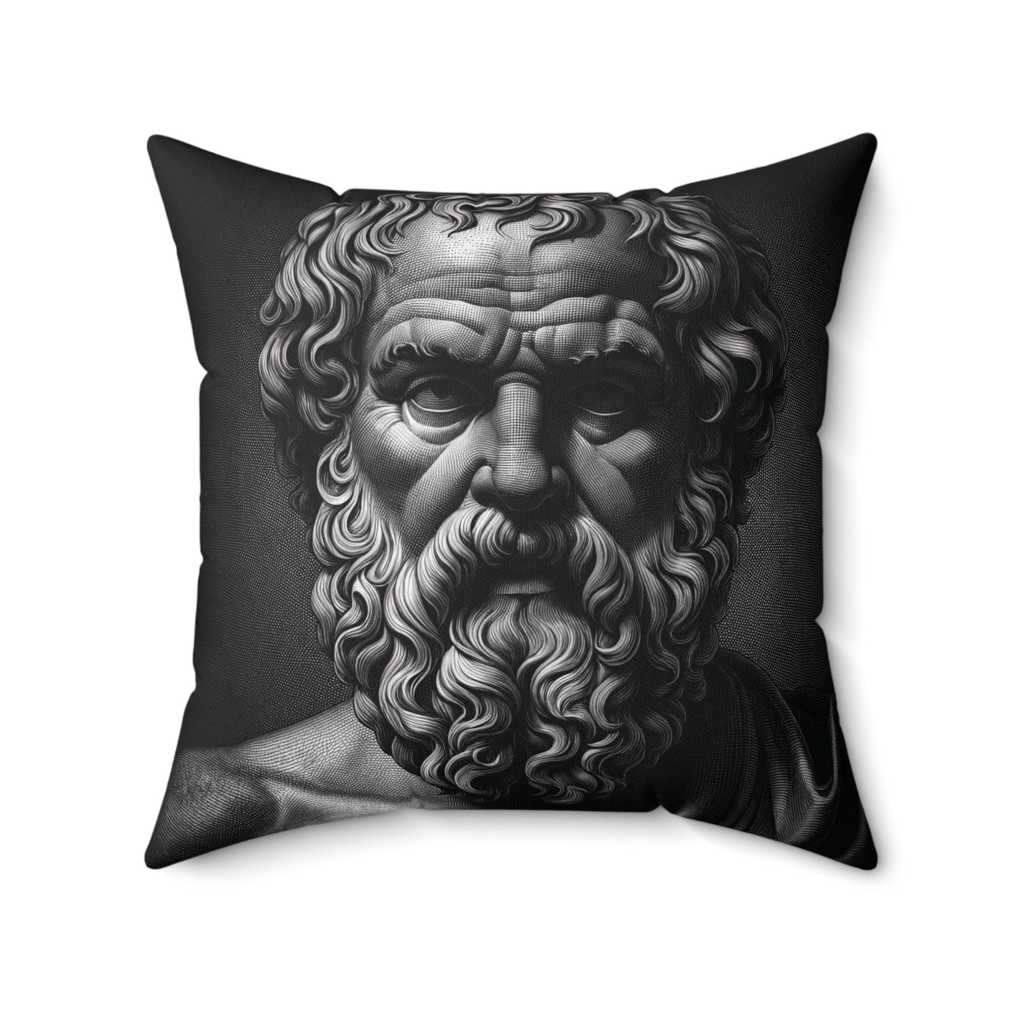 Home Decor SocratesThrow Pillow 20" × 20"