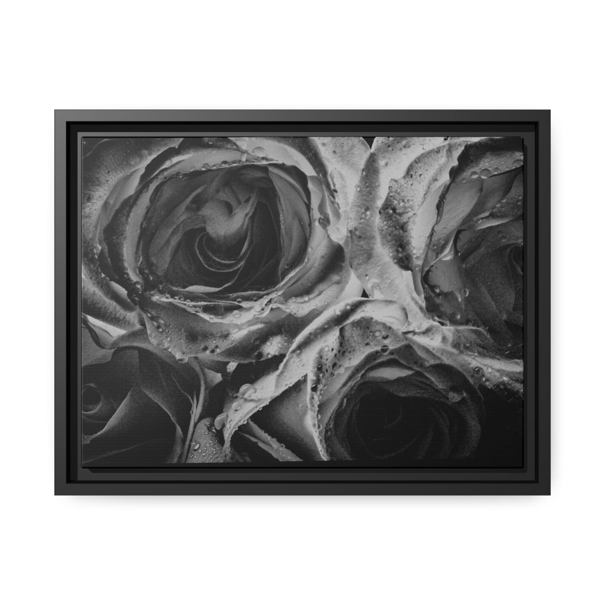 Canvas Roses Matte Canvas, Black Frame 16″ x 12″ (Horizontal) / Black / 1.25"