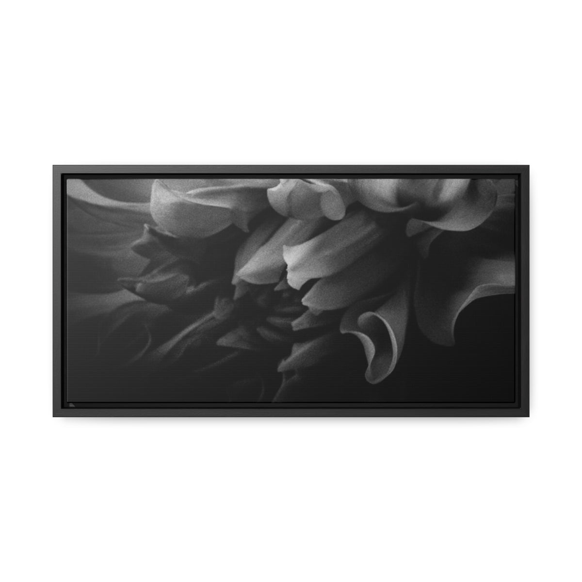 Canvas Dahlia Gallery Canvas Wraps, Horizontal Frame 20″ x 10″ / Black / Premium Gallery Wraps (1.25″)