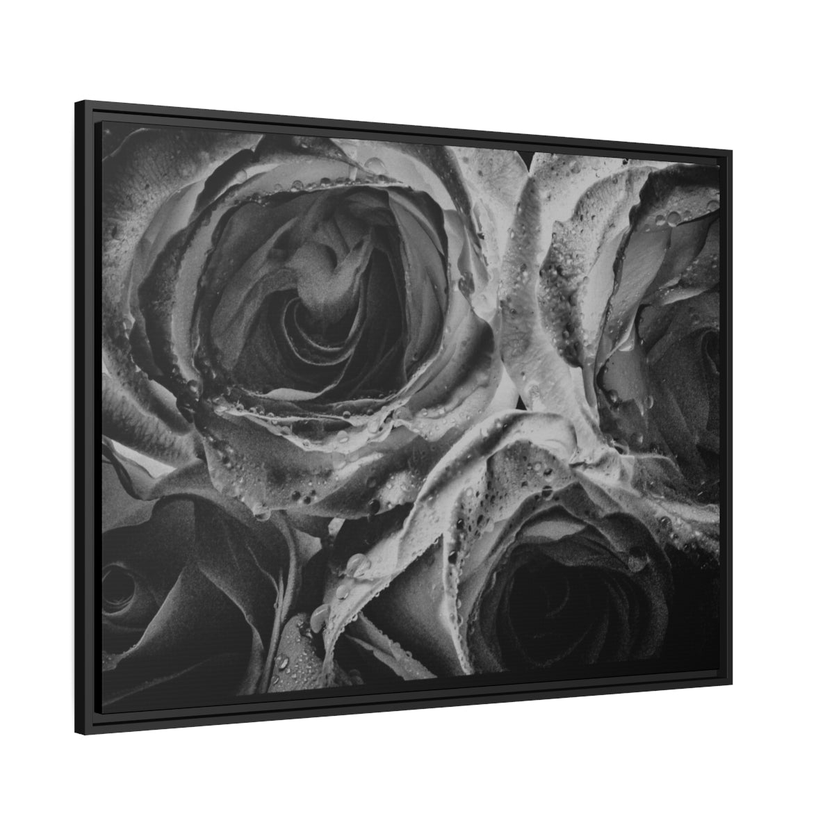 Canvas Roses Matte Canvas, Black Frame