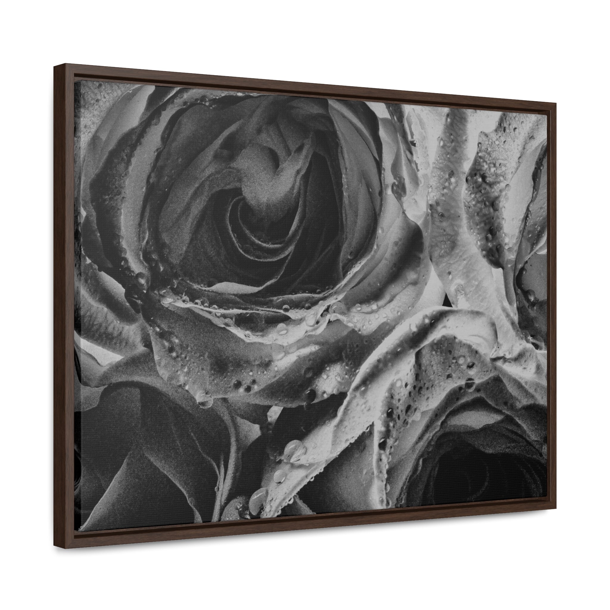Canvas Wet Roses Gallery Canvas Wraps, Horizontal Frame